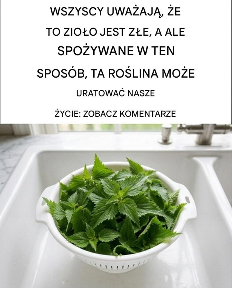Rośnie wokół nas i wszyscy uważają go za chwast. Jednak spożywana na surowo, roślina ta może dosłownie uratować nam życie. Wyjaśnię tutaj, jak ją spożywać i do czego się ją stosuje: