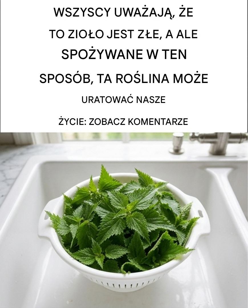 Rośnie wokół nas i wszyscy uważają go za chwast. Jednak spożywana na surowo, roślina ta może dosłownie uratować nam życie. Wyjaśnię tutaj, jak ją spożywać i do czego się ją stosuje: