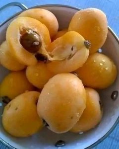 Całe życie próbowałem zapamiętać nazwę tego owocu