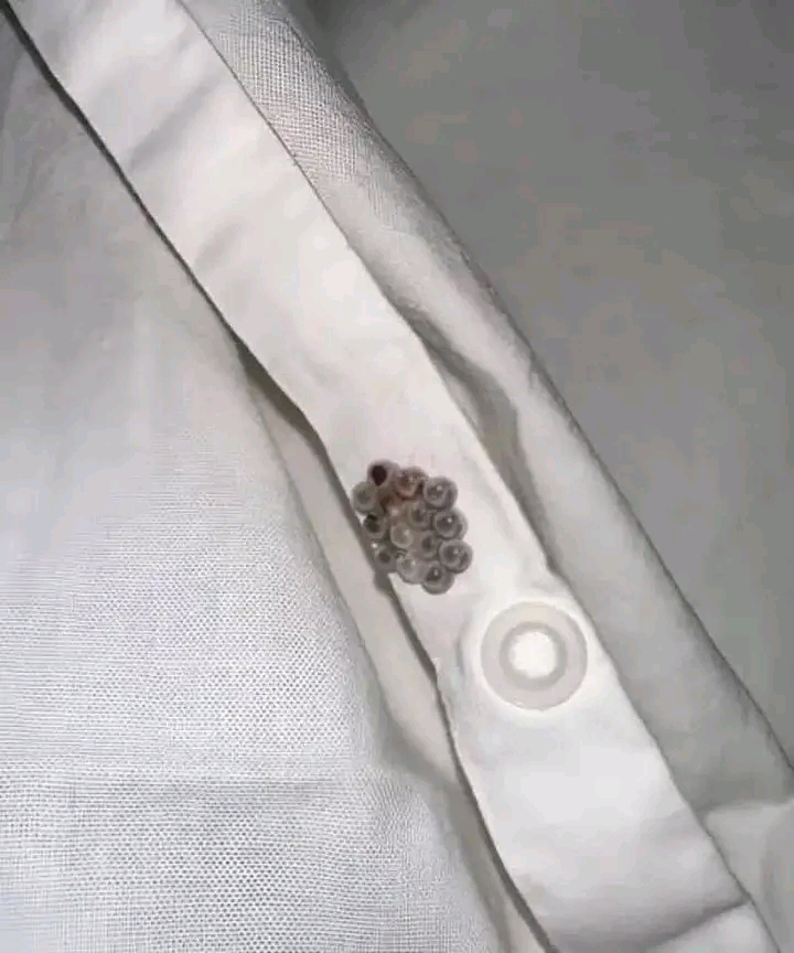 Wstrząsające odkrycie w moim łóżku okazało się sygnałem ostrzegawczym o ukrytych zagrożeniach w domu