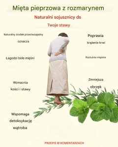 Mięta pieprzowa i rozmaryn na ból stawów