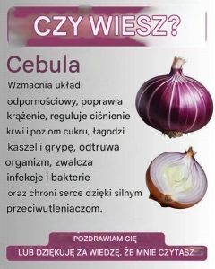 KORZYŚCI Z CEBULI