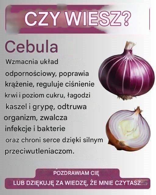 KORZYŚCI Z CEBULI