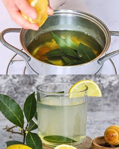 Napar z liści laurowych: przepis na zdrowy napój wspomagający trawienie