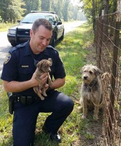 Dzisiaj chcę się z wami podzielić czymś, co nawet teraz, kiedy o tym myślę, nadal mnie przeraża.