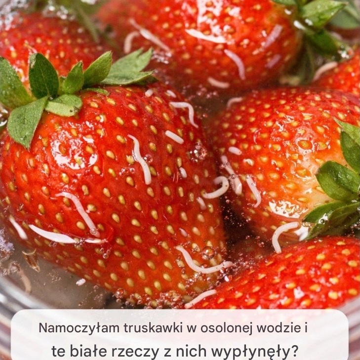 Namoczyłam truskawki w osolonej wodzie i te białe rzeczy z nich wypłynęły?