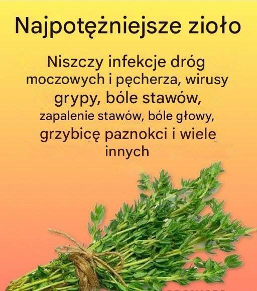Naturalny środek na pasożyty i drogi moczowe