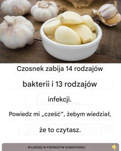 Czosnek zabija 14 rodzajów bakterii: Naturalny antybiotyk, który warto znać