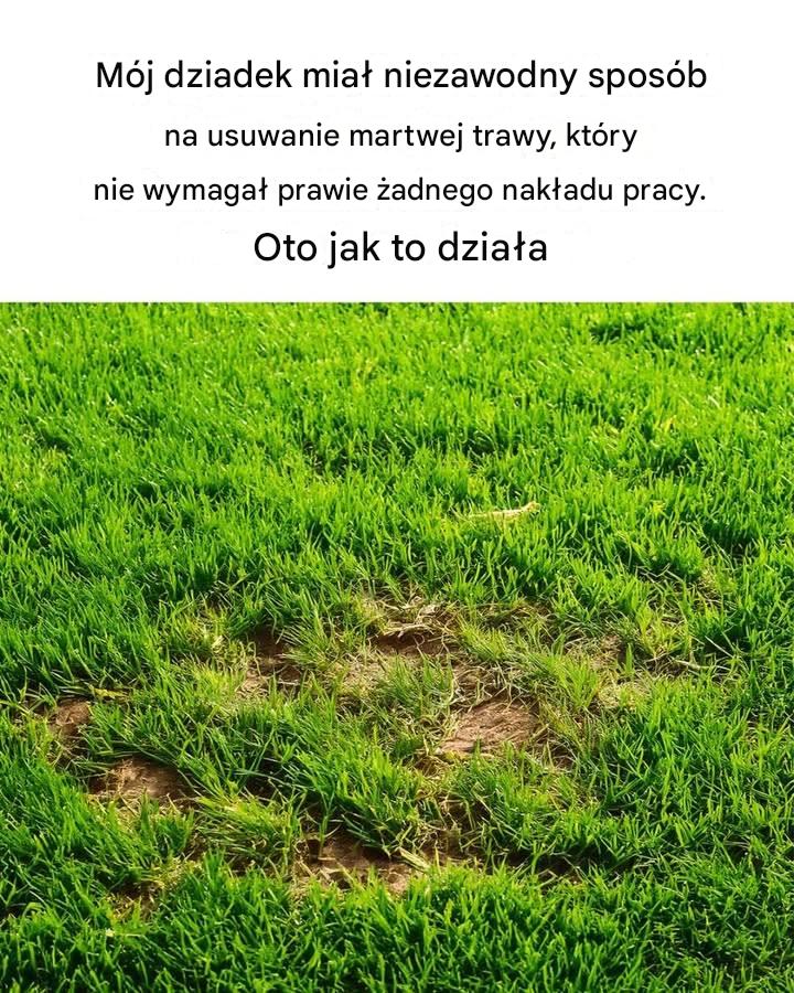 Nie ma mowy… Nie miałem pojęcia!