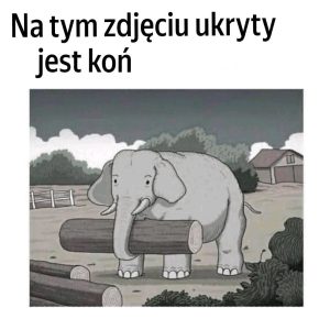 Czy potrafisz szyfrować ukrytego na tym obrazie w zaledwie 7 sekundach? Twoja kolej na grę!