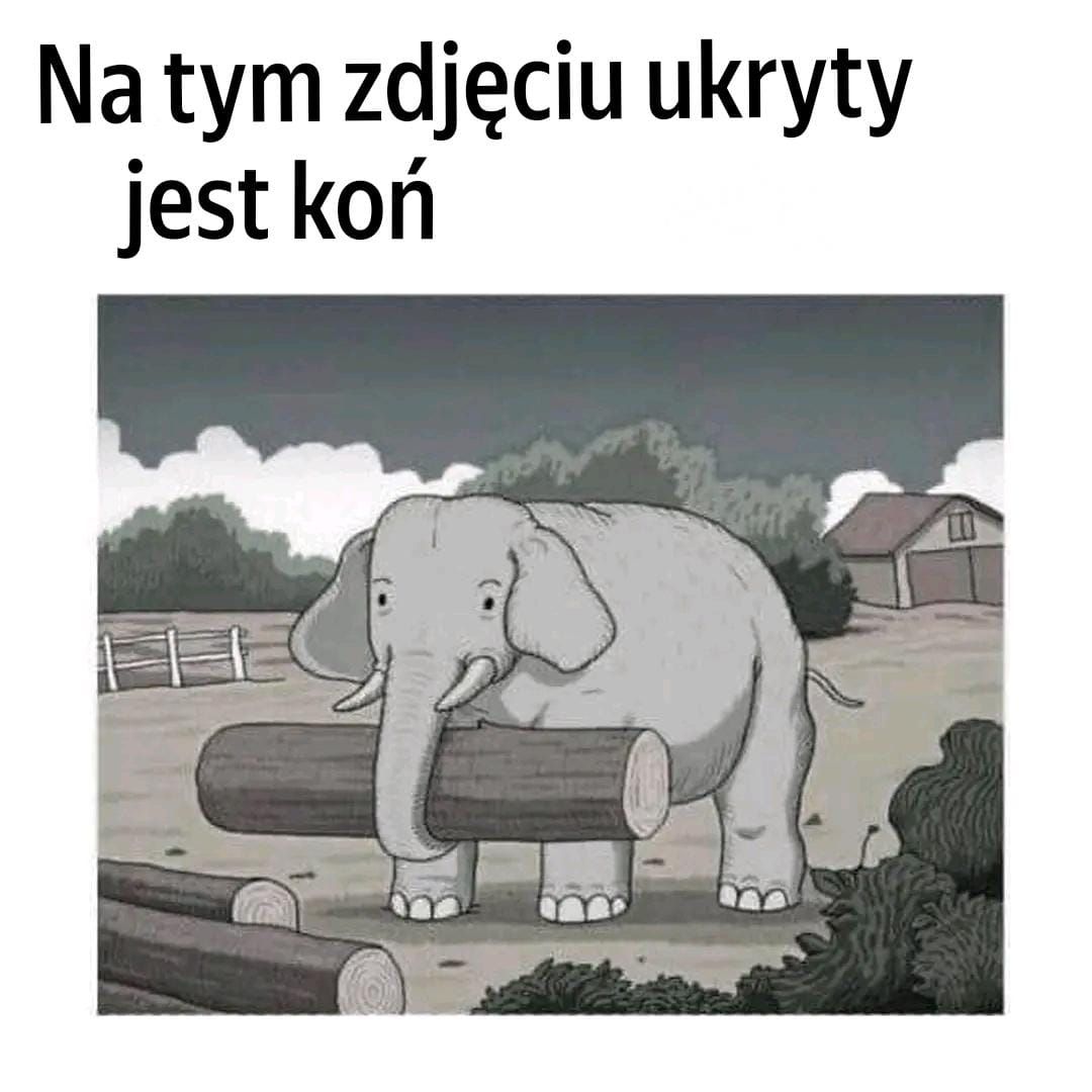 Czy potrafisz szyfrować ukrytego na tym obrazie w zaledwie 7 sekundach? Twoja kolej na grę!