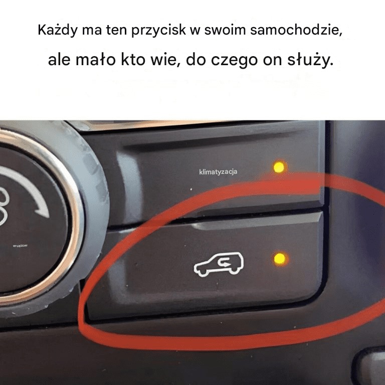 Na czym polega proces recyklingu?