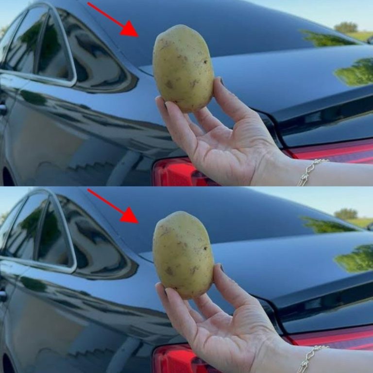 Dlaczego posiadanie ziemniaka w samochodzie może być ratunkiem