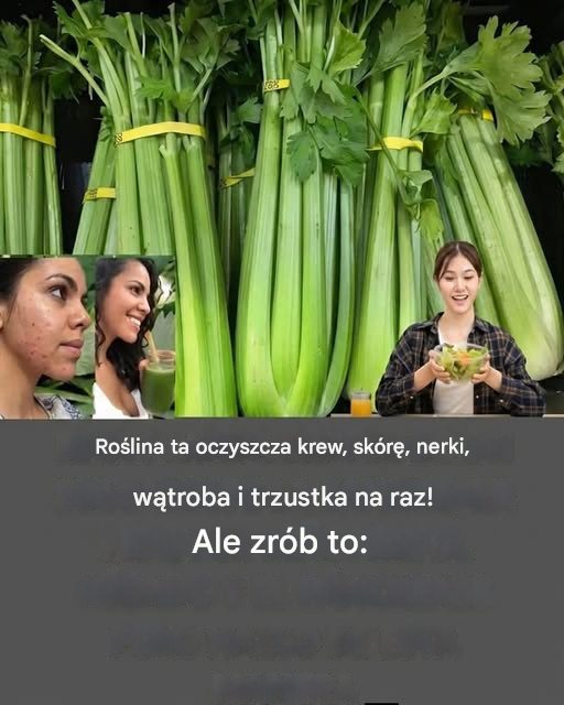 Ta czysta roślina