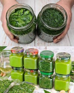 Jak zachować świeże zioła na zimę: kompletny poradnik