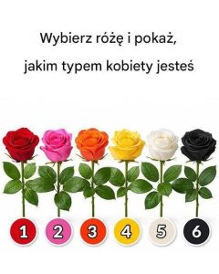 Wybierz różę i pokaż, jakim typem kobiety jesteś