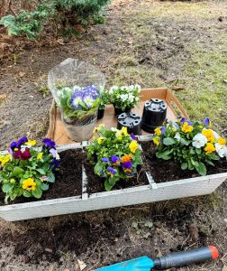 Czy milion obserwujących do końca roku jest możliwy? Moja mała chwila relaksu i wielka motywacja do działania