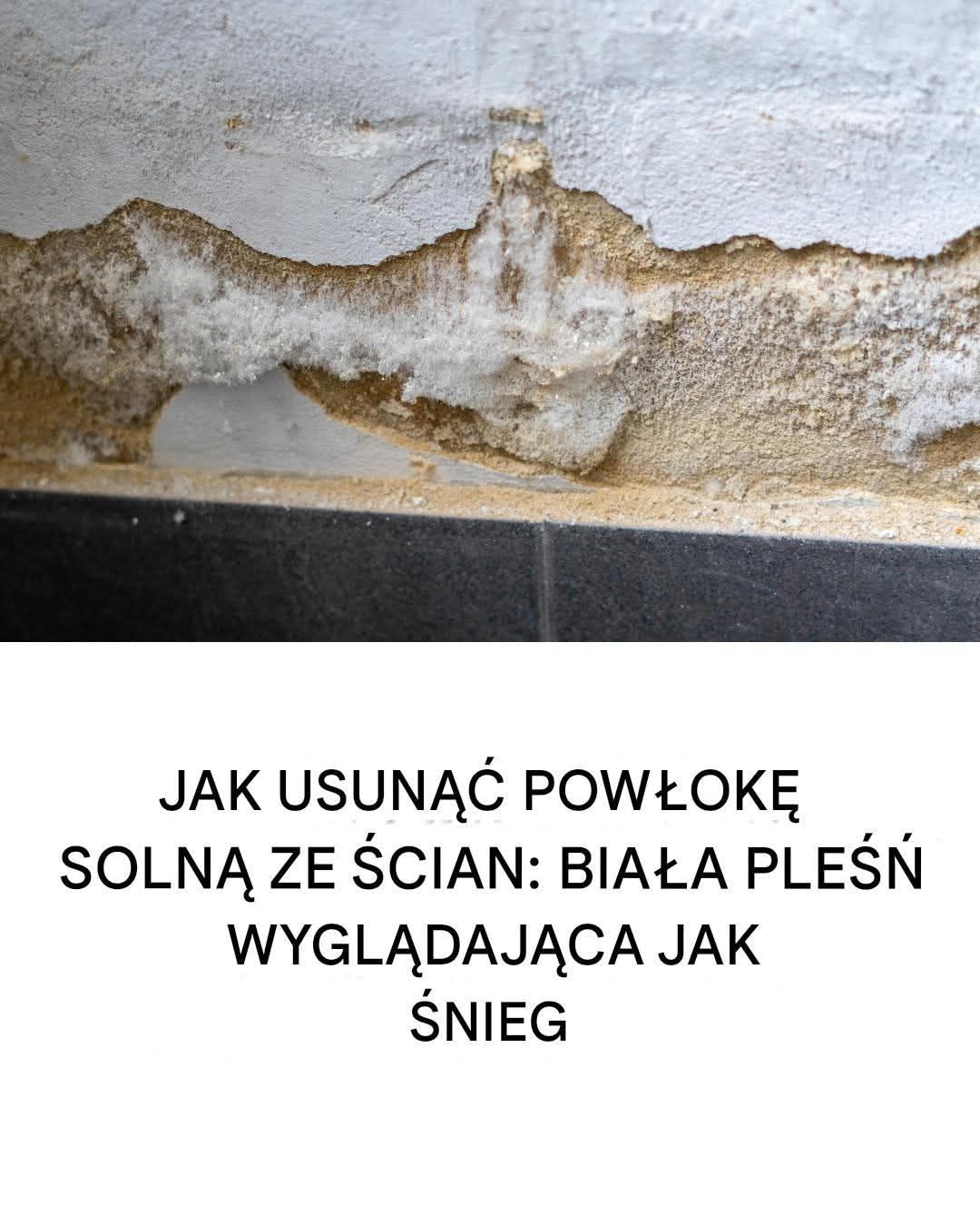 Biała pleśń na ścianach: dlaczego powstaje i jak się jej pozbyć