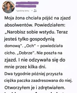 Myślałem, że ona „nic” nie robiła przez cały dzień — ale jedno pudełko pokazało mi, że się myliłem