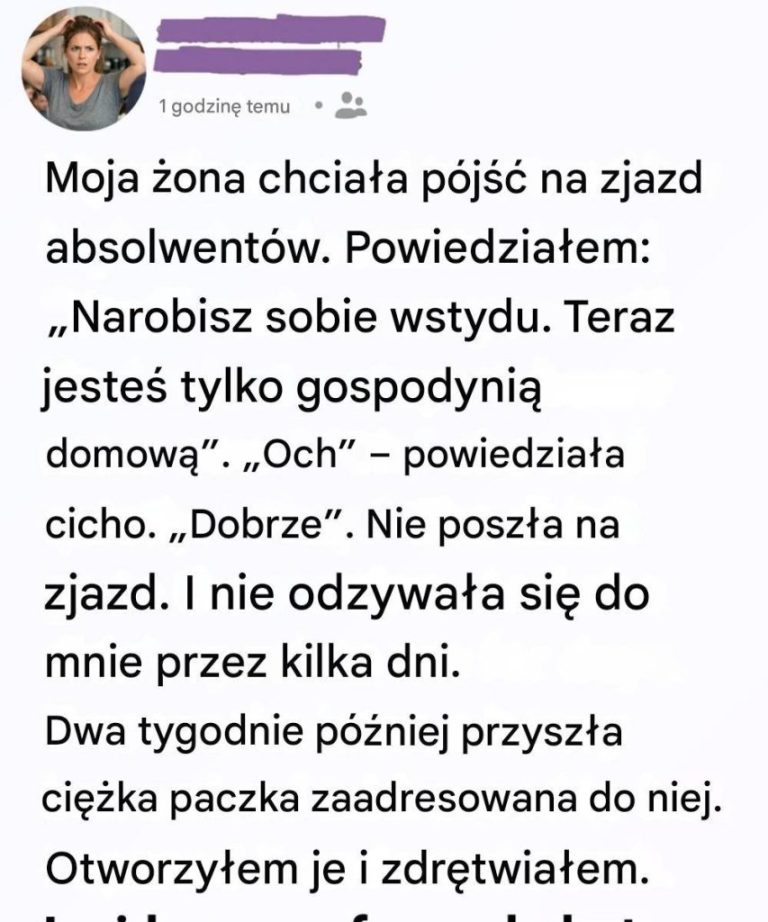 Myślałem, że ona „nic” nie robiła przez cały dzień — ale jedno pudełko pokazało mi, że się myliłem