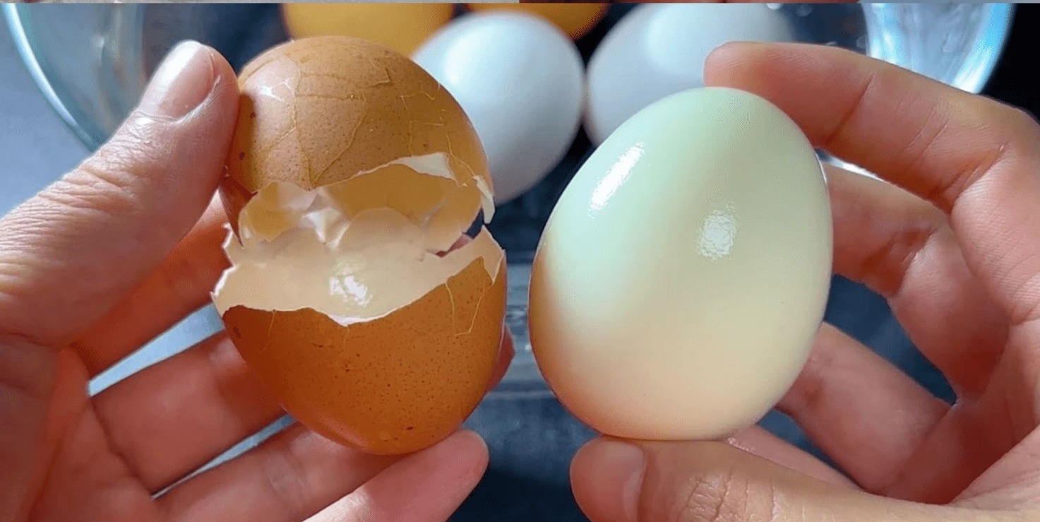 Dowiedz się, jak ugotować jajka idealnie: zacznij od użycia gorącej wody.