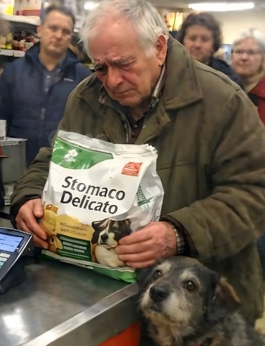 asjerka szepnęła: „Odrzucono”, a starszy mężczyzna spojrzał na swojego psa tak, jakby miał się z nim pożegnać. Stałem wtedy w kolejce i zrozumiałem, że w tej chwili rozstrzyga się coś znacznie większego niż zwykłe zakupy. Piknięcie terminala było krótkie i bezlitosne, głośniejsze niż cicho grające radio w osiedlowym sklepie. „Przykro mi, panie Bruno…” powiedziała dziewczyna przy kasie, ściszając głos, żeby inni nie słyszeli. „System pokazuje brak środków… znowu.” Bruno De Santis… Voir plus