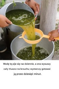 Obiad powrotny: Kalabriańskie smaki rozpieszczają wnuki po morzu