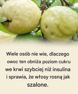 Odkryj moc tego cudownego owocu, który obniża poziom cukru we krwi