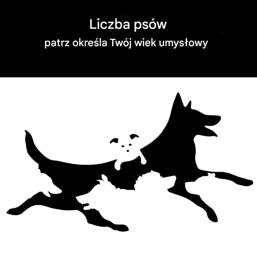 Liczba pów, które są uwzględnione na tym obrazku, określając Twój wiek umysłu