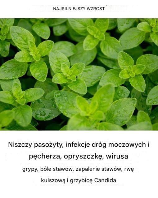 Jest to jedna z najpotężniejszych roślin na świecie.