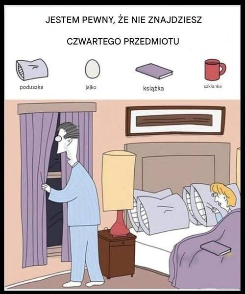 Czy potrafisz wskazać książkę, jajko, kubek i poduszkę?