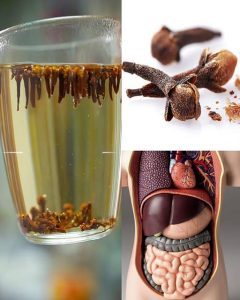 Nieoczekiwana moc goździków: naturalny skarb dla Twojego codziennego dobrego samopoczucia