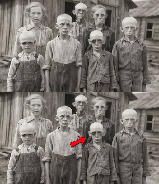 Dzieci z Hollow Ridge odnaleziono w 1968 roku: to, co wydarzyło się później, przeczyło naturze. Dzieci znaleziono w stodole, która była zamknięta od 40 lat; było ich 17. Ich wiek wahał się od 4 do 19 lat. Nie mówiły. Nie płakały. A kiedy pracownicy socjalni próbowali je rozdzielić, wydały dźwięk, którego żadne ludzkie dziecko nie powinno być w stanie wydać. Lokalny szeryf, który odpowiedział na wezwanie, odszedł trzy dni później i nigdy więcej nie wspomniał o tej sprawie. Sta… Voir plus