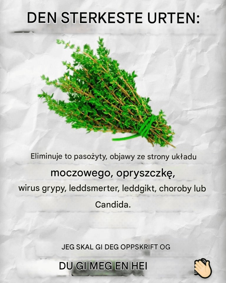 Przepisy, lekarstwa i wiele więcej