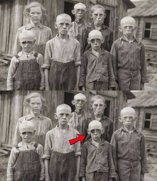 Dzieci z Hollow Ridge odnaleziono w 1968 roku: to, co wydarzyło się później, przeczyło naturze. Dzieci znaleziono w stodole, która była zamknięta od 40 lat; było ich 17. Ich wiek wahał się od 4 do 19 lat. Nie mówiły. Nie płakały. A kiedy pracownicy socjalni próbowali je rozdzielić, wydały dźwięk, którego żadne ludzkie dziecko nie powinno być w stanie wydać. Lokalny szeryf, który odpowiedział na wezwanie, odszedł trzy dni później i nigdy więcej nie wspomniał o tej sprawie. Stan utajnił akta w 1973 roku, ale jedna z tych dziewcząt dożyła dorosłości. W 2016 roku w końcu opowiedziała swoją historię. To, co powiedziała o swojej rodzinie, o tym, co płynęło w ich żyłach, zmieniło wszystko, co myśleliśmy, że wiemy o klanie Hollow Ridge. Hollow Ridge nie pojawia się już na większości map. To odcinek dzikiego kraju w południowych Appalachach, położony między Kentucky a Wirginią, gdzie wzgórza składają się w sobie niczym tajemnice. Miejsce, którego rodziny nigdy nie opuszczają, gdzie imiona powtarzają się z pokolenia na pokolenie, gdzie obcy nie są mile widziani, a pytania pozostają bez odpowiedzi. Przez ponad 200 lat wzgórze było domem jednej rodziny. Nazywali siebie klanem Dalhartów, choć niektóre stare zapisy używają innych nazwisk: Dalhard, Dalhart, Dale Hart. Różnice nie mają znaczenia. Ważne jest to, że pozostali, pokolenie po pokoleniu. Pozostali na tej samej ziemi, nigdy nie pobrali się poza wzgórzem, nigdy nie uczęszczali do kościołów miejskich, nigdy nie zapisali swoich dzieci do szkoły. Byli znani, ale nierozumiani; tolerowani, ale nie ufani. W latach 60. większość ludzi założyła, że ​​Dalhartowie odeszli. Główny dom był opuszczony od dziesięcioleci. Pola zarosły chwastami. Nikt nie widział unoszącego się dymu. Przeczytaj więcej w pierwszym komentarzu. 👇👇