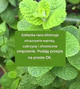 Szklanka rano eliminuje stłuszczenie wątroby, cukrzycę i chroniczne zmęczenie. Podaję przepis na proste OK.