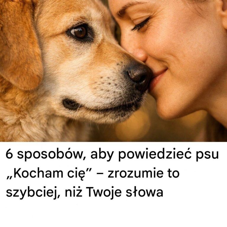 6 sposobów, aby powiedzieć psu „Kocham cię” – zrozumie to szybciej, niż Twoje słowa