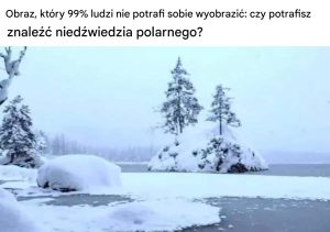 Obraz, w którym 99% ludzi przegrywa: czy można znaleźć niedźwiedzia polarnego?