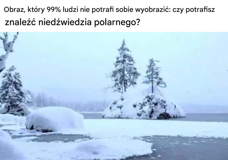 Obraz, w którym 99% ludzi przegrywa: czy można znaleźć niedźwiedzia polarnego?