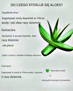 Do czego służy aloes?... Zobacz więcej
