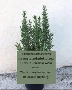 Pij herbatę rozmarynową na pusty żołądek przez 15 dni, a unikniesz wielu chorób. Więcej szczegółów i przepis na prostą herbatę.
