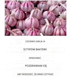 Właściwości czosnku