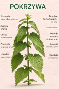 Przepis na oczyszczanie i witalność z pokrzywy