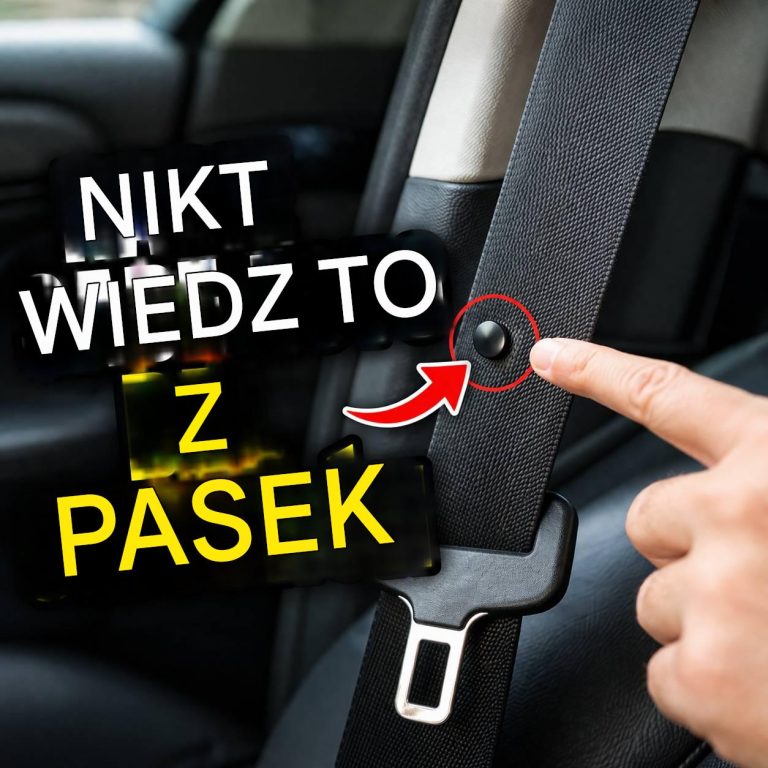 Oto do czego służy mały przycisk na pasie bezpieczeństwa.
