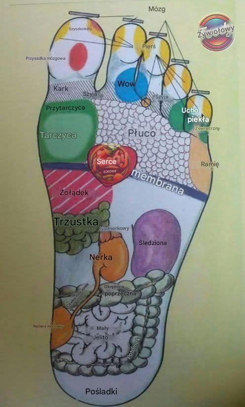 Dlaczego warto nakładać olej na podeszwy stóp