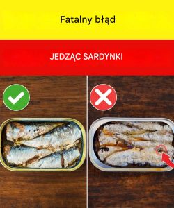 Sardynki w puszce: korzyści, poradnik zakupowy i bezpieczne spożycie dla zdrowia