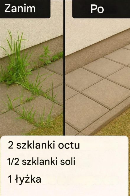 Jak uprawiać superskuteczny domowy herbicyd