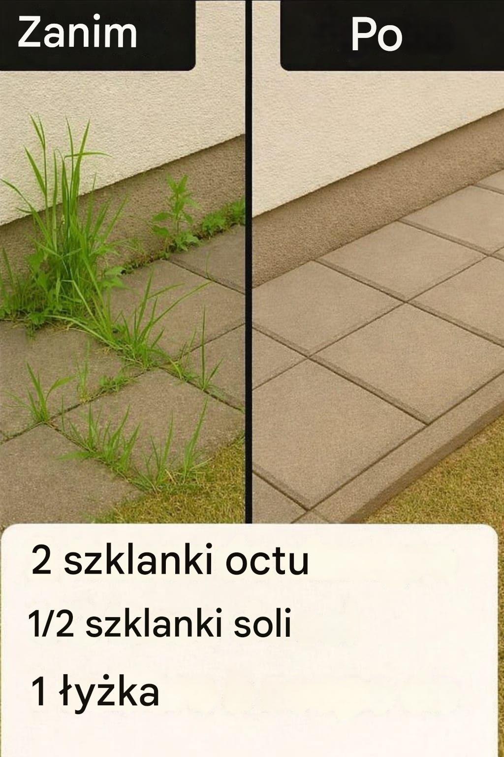 Jak uprawiać superskuteczny domowy herbicyd