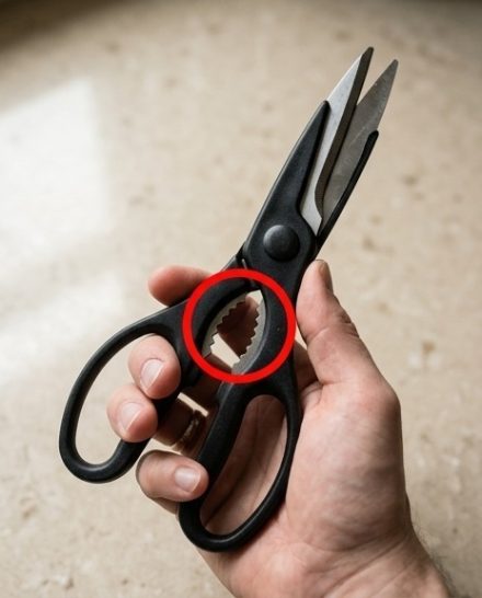 Secondo voi a cosa serve quella strana parte delle forbici? Le ho sempre usate per tagliare… ma mai quella parte. Sono curiosa di sapere chi lo sa (niente imbrogli 😉)!