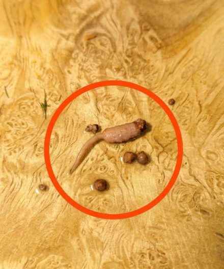 Stavo cucinando della carne macinata e quando l'ho tolta dalla padella, ho notato uno strano oggetto che non sembrava carne. Qualcuno sa cos'è? Controlla il primo commento per la risposta 👇